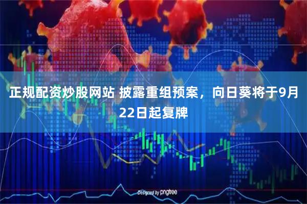 正规配资炒股网站 披露重组预案，向日葵将于9月22日起复牌