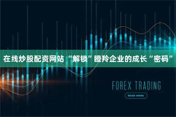 在线炒股配资网站 “解锁”瞪羚企业的成长“密码”