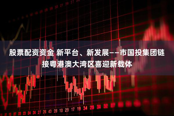 股票配资资金 新平台、新发展——市国投集团链接粤港澳大湾区喜迎新载体