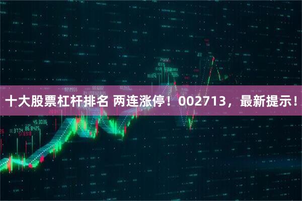 十大股票杠杆排名 两连涨停！002713，最新提示！