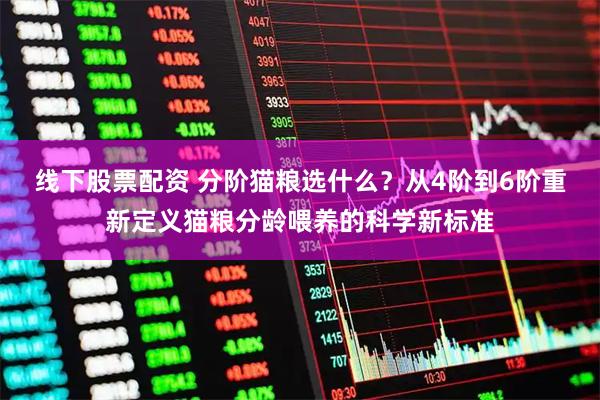 线下股票配资 分阶猫粮选什么？从4阶到6阶重新定义猫粮分龄喂养的科学新标准