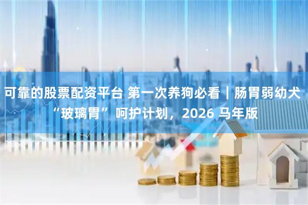 可靠的股票配资平台 第一次养狗必看｜肠胃弱幼犬 “玻璃胃” 呵护计划，2026 马年版
