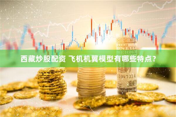 西藏炒股配资 飞机机翼模型有哪些特点？