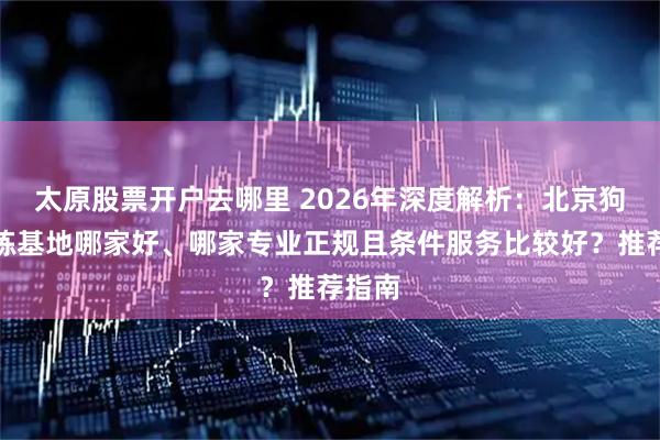 太原股票开户去哪里 2026年深度解析：北京狗狗训练基地哪家好、哪家专业正规且条件服务比较好？推荐指南